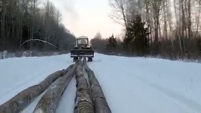 Юмз тащит дрова