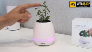 indivo melodyPot - Музыкальное кашпо