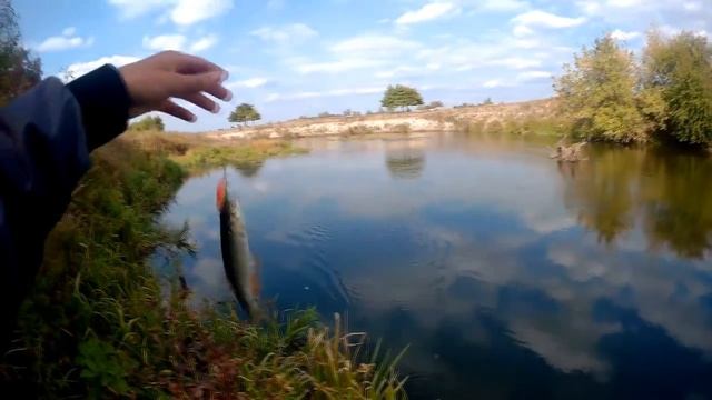 Ловля голавля и жереха на спиннинг осенью смотреть онлайн