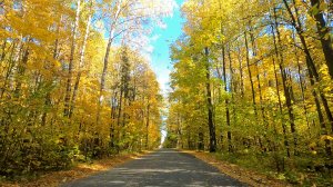 Дорога в золотую осень в Республике Марий Эл