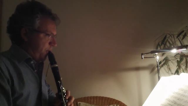 J.S. Bach: Cello-Suite Nr. 6 arr. for clarinet solo, Gavotte II смотреть онлайн