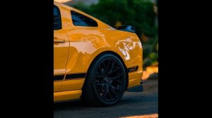 Форд мустанг босс 302