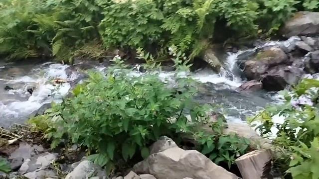 16.07.22 Водопад Поликаря, Красная поляна (ч. 3) #краснаяполяна #поликаря