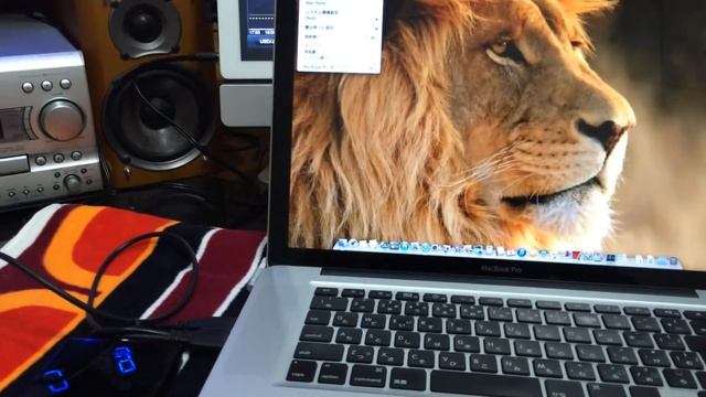 MacBook Pro(15-inch, Early 2011)カスタマイズ смотреть онлайн