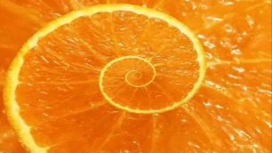 Оранжевая Песенка ( tesla moto.01 )