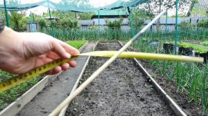 Выращивание капусты в ящиках от посева до урожая! Капусту выращиваю только так