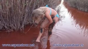 Соленые озера в Торревьехе. Salinas de Torrevieja Недвижимость в Испании Недвижимость в Испании