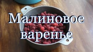 Как варить малиновое варенье ( видео рецепт)