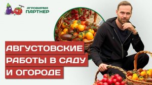 УХОД ЗА РАСТЕНИЯМИ В АВГУСТЕ_ БОГАТЫЙ УРОЖАЙ, ПОЛИВ, ПОДКОРМКИ, МУЛЬЧИРОВАНИЕ И НОВЫЕ ПОСАДКИ