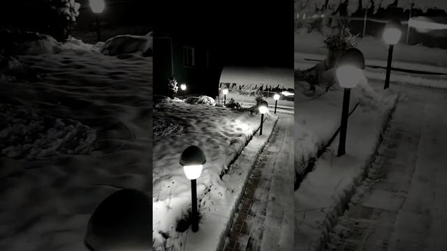 ЗИМА. САДОВОЕ ОСВЕЩЕНИЕ смотреть онлайн