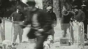 Фокстерьеры и крысы / Fox terriers et rats 1902