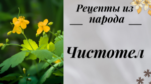 Чистотел.