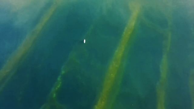 SaintP - Maldives смотреть онлайн