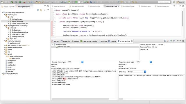 Eclipse TCP/IP Monitor смотреть онлайн