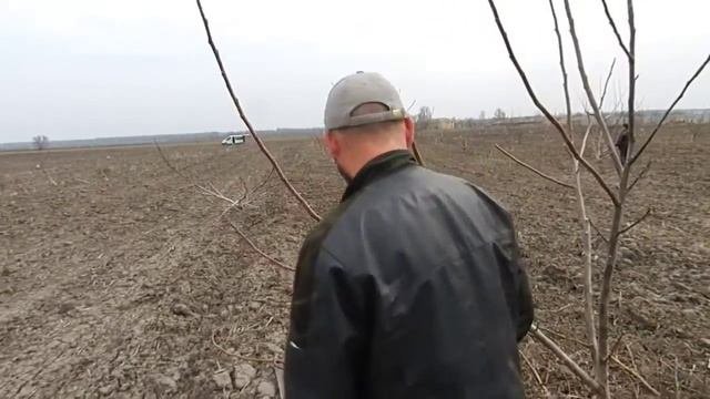 Обрезка запущенного сада. Часть 3