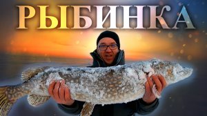 РЫБИНКА СНЕЖНАЯ ПУСТЫНЯ || Поймали щуку мамку || Рыбинка в ДЕКАБРЕ