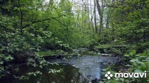 5 часть. На СОН грядущий послушайте фрагменты своих любимых мелодий.