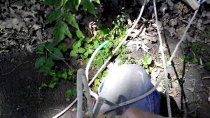 Ловушка для роев своими руками (7), выбор места и установкаЛовля пчелиных роёв