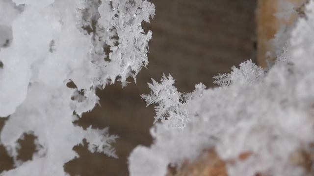Щелоковский Хутор: источник