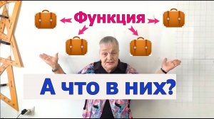 Компоненты функции (аргумент, значение функции, область определения и область значений функции).