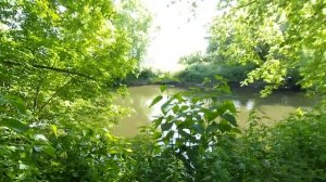 ОСНОВЯНСКОЕ ОЗЕРО-РЕКА УДЫ-УДЯНСКАЯ ТРОПА/ ОСНОВА-ЖИХАРЬ-БАБАИ-ХОРОШЕВО/ ХАРЬКОВ-ХАРЬКОВСКАЯ ОБЛАСТ