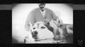 СМАЙЛ ДОГ, КТО ОН? БОЛЬШОЙ РАЗБОР ОПАСНОГО ФАЙЛА (Smile.jpg/Smile Dog)