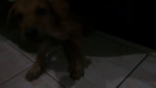 Oct 29, 2015 смотреть онлайн