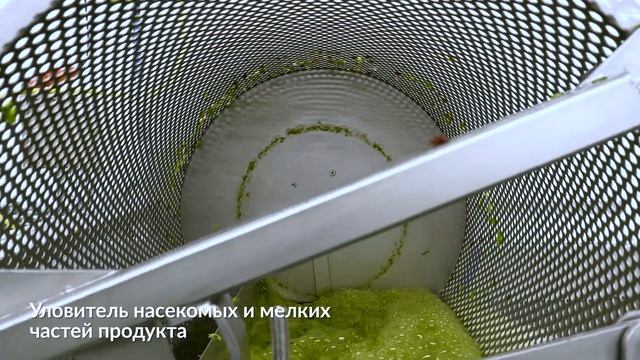 Высокопроизводительная линия по нарезке и мойке овощей