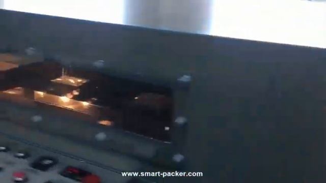 Автоматическая коробка L брызговой пленки резки усаживания уплотнительной упаковки