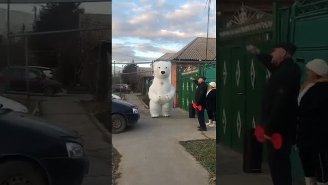 Медведь Пломбир поздравление