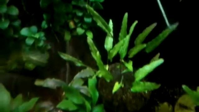 "Маленький" 48л. смотреть онлайн