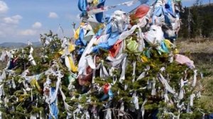 Золотые холмы долины царей 28.6.2012.