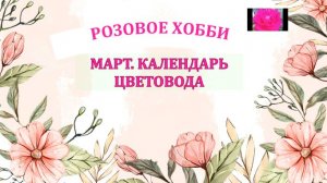 РОЗЫ И НЕ ТОЛЬКО. МАРТОВСКИЕ ЗАБОТЫ ЦВЕТОВОДА