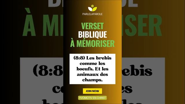 VERSET BIBLIQUE A MEMORISER / PS 8 V 7