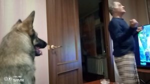 танцы Багиры
