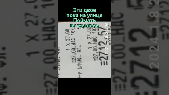 Лечение трех щенков начали. Спасибо всем за помощь. Ин-фа в комментариях.