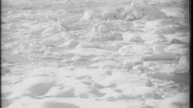 1964 Отто Юльевич Шмидт смотреть онлайн