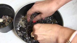 Как вырастить банан из семян в домашних условиях?