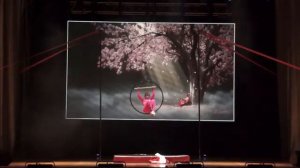 15. Цыбульская Вероника - "Мелодия тихой луны"