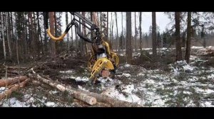 Лесозаготовка ЛЗК