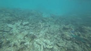 Бюджетные мальдивские острова. Обзор острова Дигура, Южный Ари Атолл. TME Rethreats Hotel