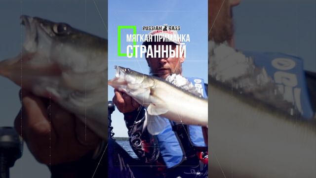 Приманка «Странный» от Russian Bass Fishing #russianbassfishing #russianfishing #странный #рыбалка