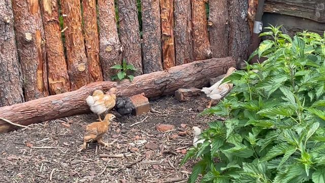 07-06-2023 смотреть онлайн