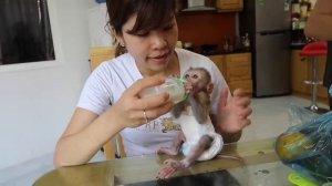 Monky GON and MIU - nail cleaning by mother