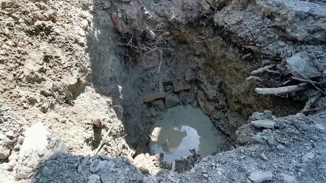 Человейники куда так настраивать?