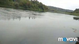 Фидер. Спиннинг. Днепр. Орша.