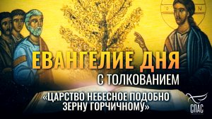 «ЦАРСТВО НЕБЕСНОЕ ПОДОБНО ЗЕРНУ ГОРЧИЧНОМУ» / ЕВАНГЕЛИЕ ДНЯ
