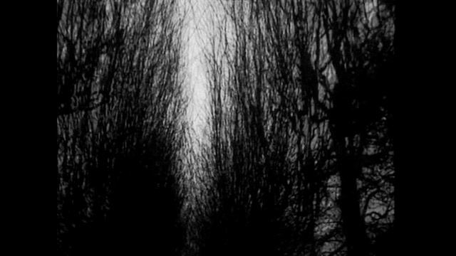 Free beat -blood dark beat.