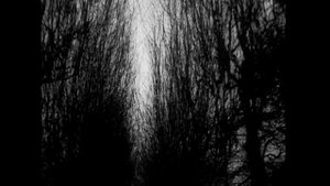 Free beat -blood dark beat.