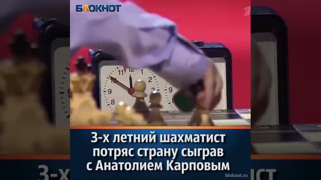 3-х летний шахматист. Крутой парень дал смотреть онлайн